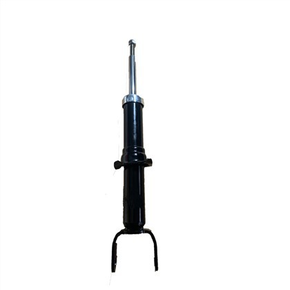 340019 Dodge Shock Absorber