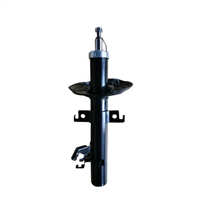 Amortizer E4302-5HL0A